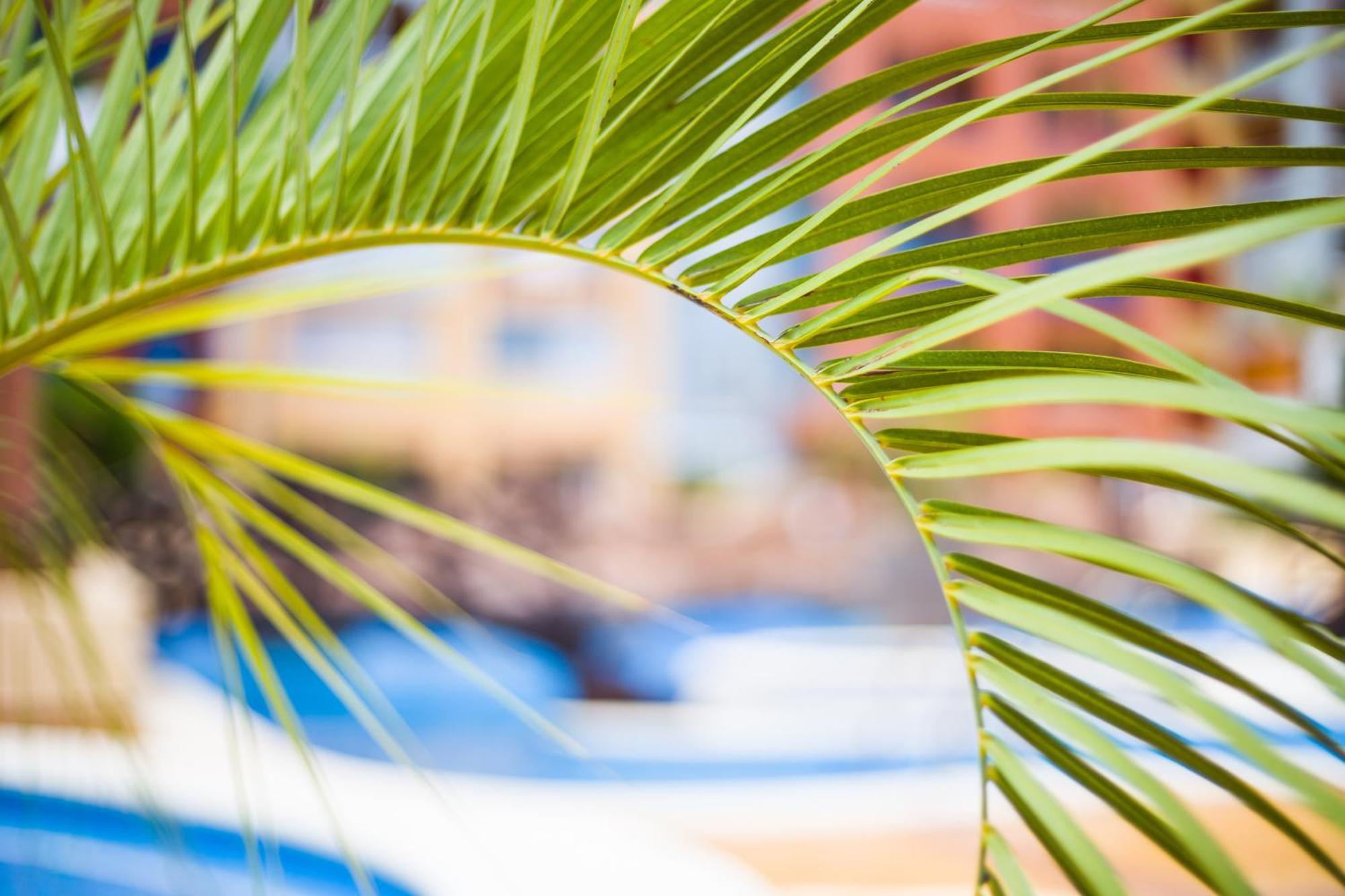 Apartamento Turistico Verdemar 2 La Manga del Mar Menor Exteriör bild