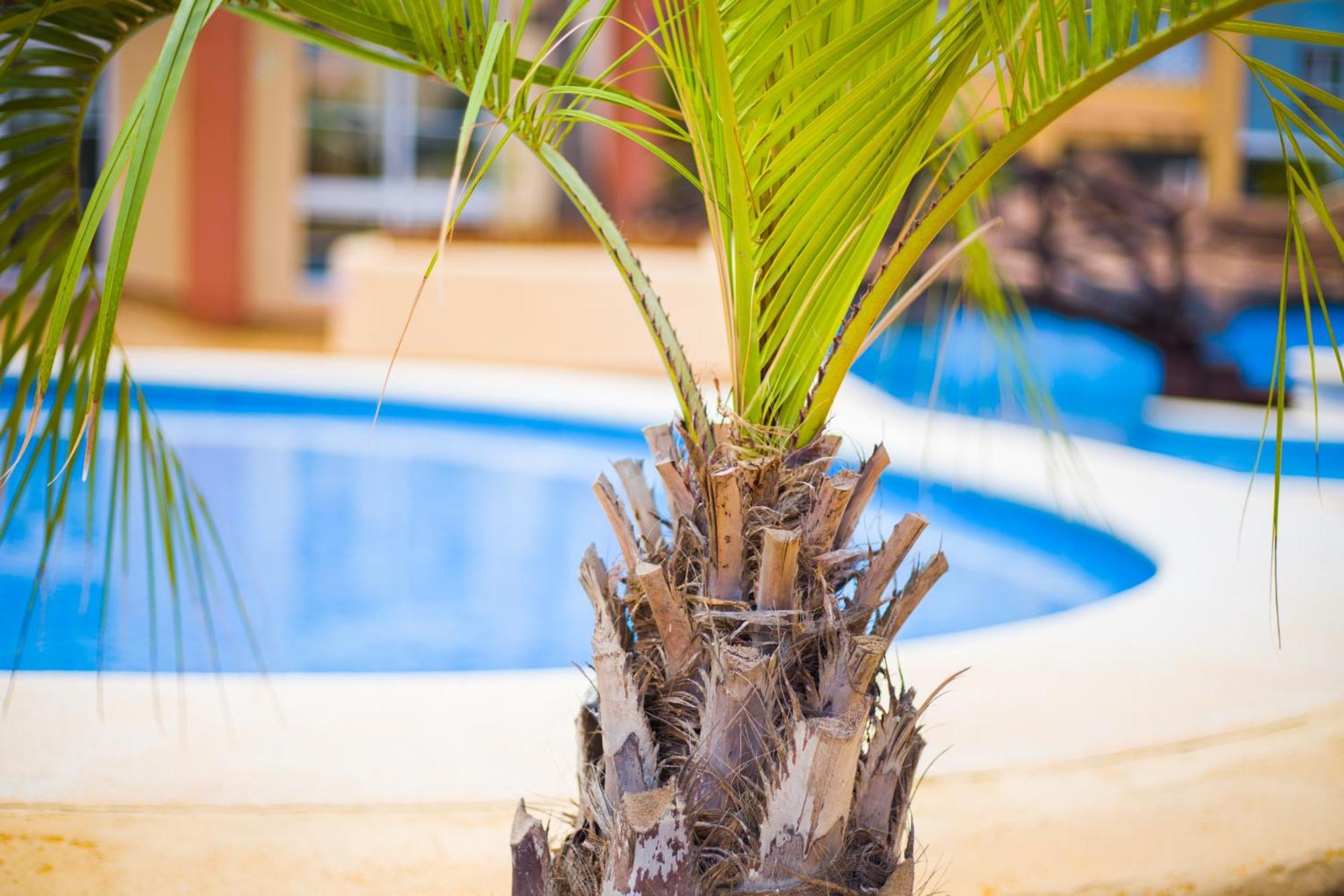 Apartamento Turistico Verdemar 2 La Manga del Mar Menor Exteriör bild